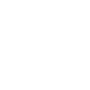Pinnacle Investment Management logo white