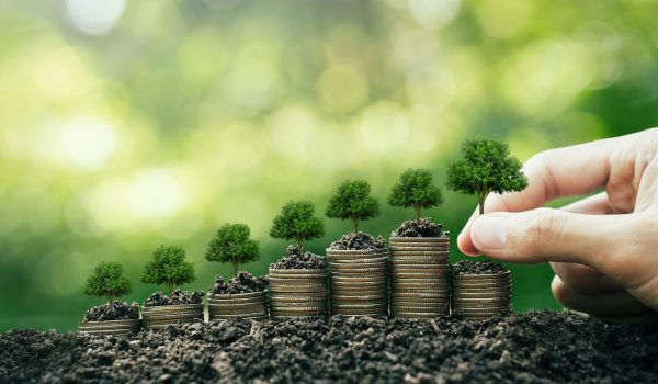 Montgomery Investment Management