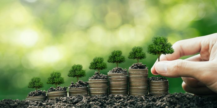 Montgomery Investment Management